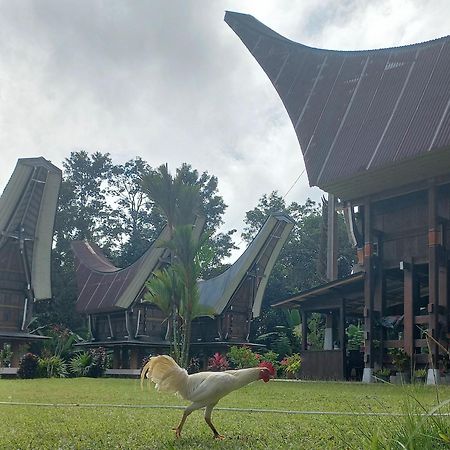 Toraja Homestay & Coffee Bunna Rantepao Kültér fotó