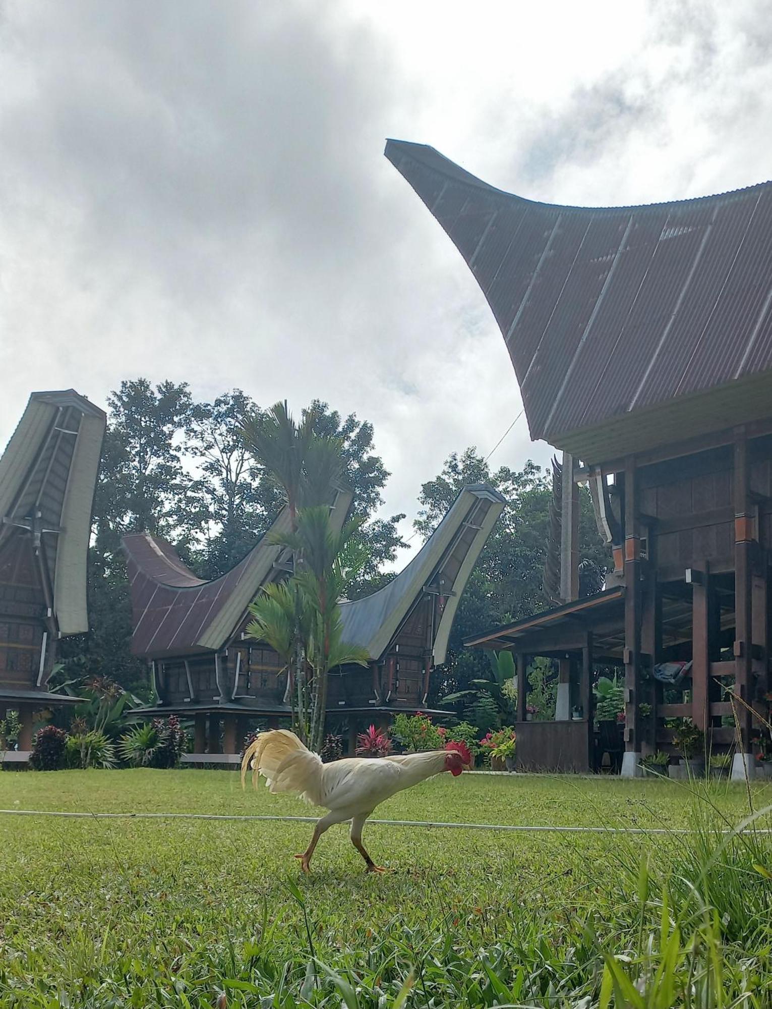 Toraja Homestay & Coffee Bunna Rantepao Kültér fotó